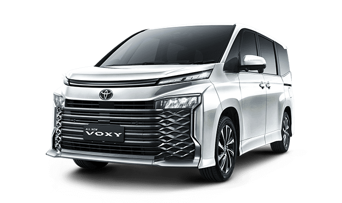 voxy1